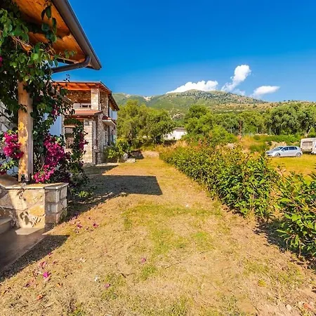 Siar The Small By Pikhost