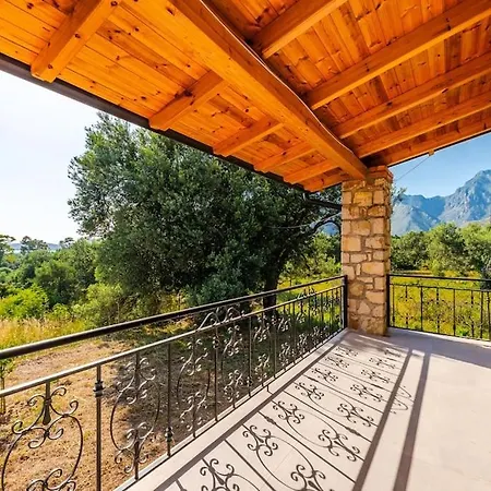 Siar The Small By Pikhost * Borş